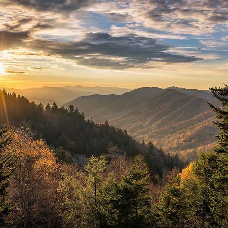 비둘기 포지 A Peaceful Retreat Whispering Pines 622 아파트 외부 사진