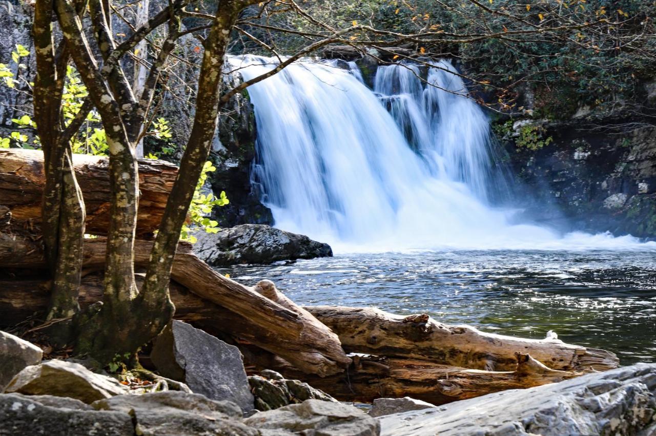 비둘기 포지 A Peaceful Retreat Whispering Pines 622 아파트 외부 사진
