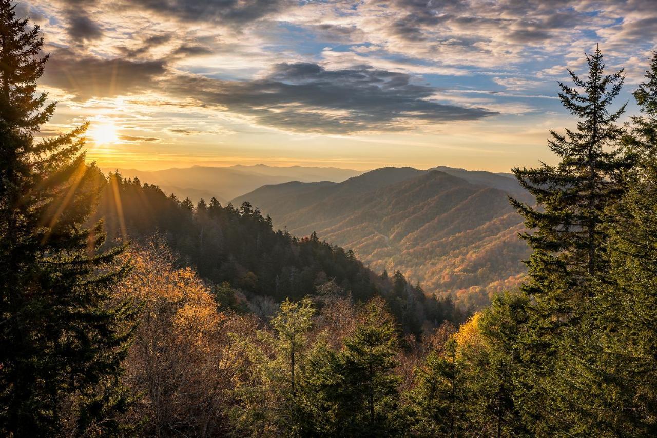 비둘기 포지 A Peaceful Retreat Whispering Pines 622 아파트 외부 사진